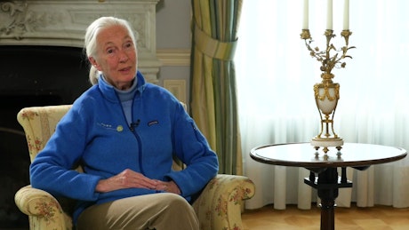 Jane Goodall