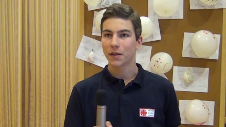 Levi Prammerdorfer