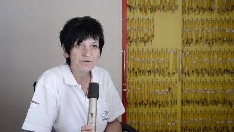 Karin Schlossinger